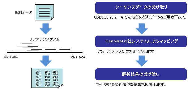 図:基本解析の流れ