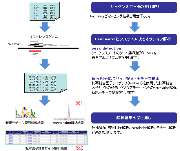 図:ChIP-Seq オプション解析の流れ